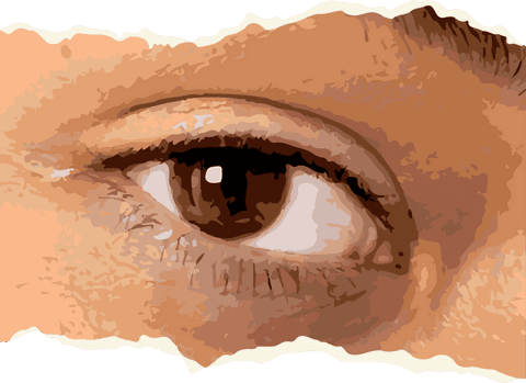 stylized artistic eye on transparent background - Download Free Stock Videos Pikwizard.com