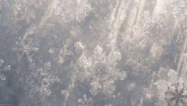 Resting hexagonal snowflake showing dendrites on frosted window pane with sunbeams