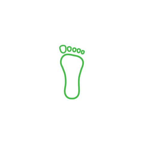 Green Foot Outline on Transparent Background for Ecology - Download Free Stock Videos Pikwizard.com