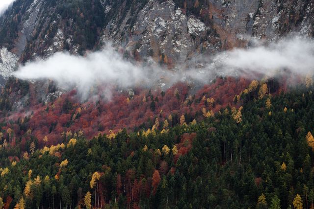 Majestic landscape showcasing an autumn forest displaying vibrant hues of red, orange, and yellow. Mist drifts over rugged mountain peaks in the background. Ideal for use in travel magazines, nature blogs, and websites promoting outdoor activities and scenic getaways.