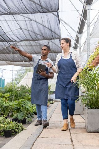 Nursery coworkers walking and inspecting plants wearing denim aprons with tablet