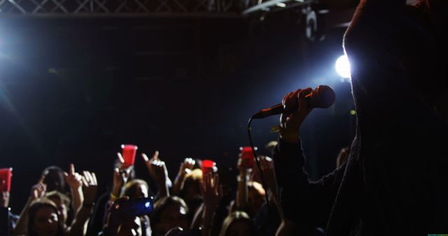 A performer is on stage engaging with an enthusiastic audience, with copy space. Silhouetted against bright stage lights, the scene captures the energy of a live concert event.