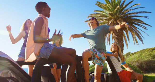 Group of Friends Enjoying Road Trip Outdoors under Palm Tree - Download Free Stock Images Pikwizard.com