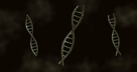 3d dna strands on dark background representing genetic research - Download Free Stock Images Pikwizard.com