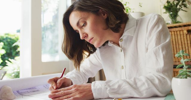 Focused Female Designer Working on Architectural Blueprint in Cozy Home Office - Download Free Stock Images Pikwizard.com