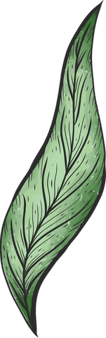 Transparent Green Leaf Illustration with Detailed Veins - Download Free Stock Videos Pikwizard.com