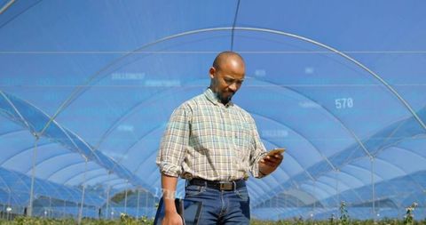 Farmer checking crops with smartphone and tablet inside polytunnel showing agritech