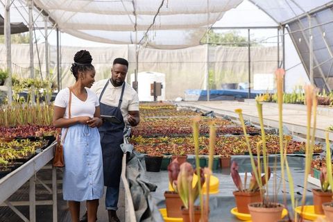 African american nursery worker guiding customer through greenhouse pitcher plant selection