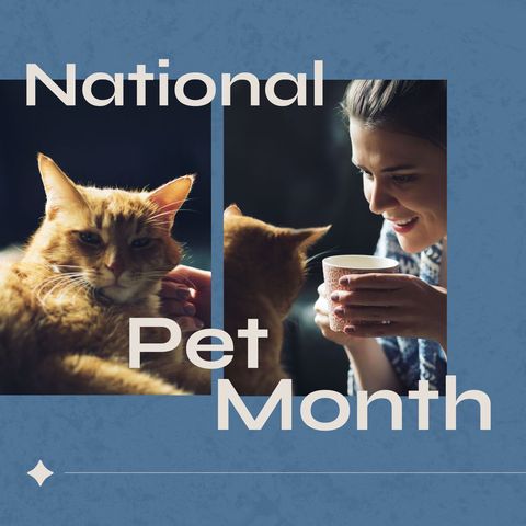 National Pet Month Theme with Woman and Ginger Cat - Download Free Stock Templates Pikwizard.com