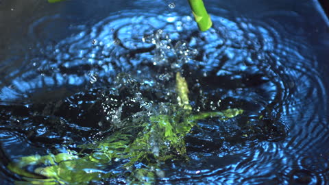 Asparagus Splashing into Water