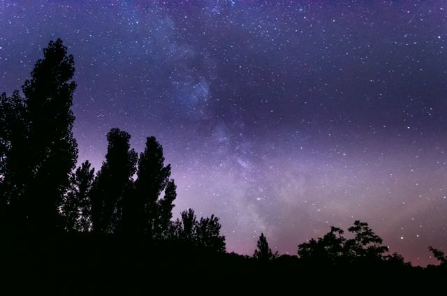 Beautiful night sky filled with stars and the Milky Way visible, with silhouettes of trees under it. This image captures the cosmic beauty of the universe and the peacefulness of nighttime nature landscapes. Ideal for use in travel blogs, wallpapers, astronomy articles, educational content, and relaxation imagery.