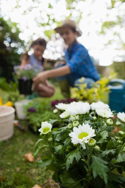 Close-up of white flowers in foreground with blurred mother and daughter gardening in background. Ideal for use in family activity promotions, gardening blogs, nature-related content, and lifestyle advertisements.
