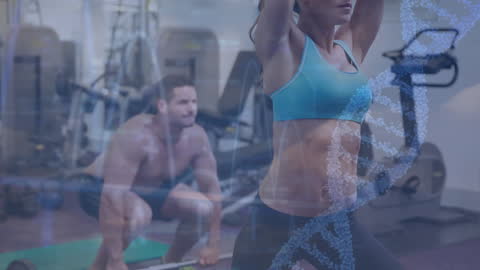 Fitness Transformation with Genetic Emphasis
