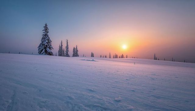 Snow-covered plateau at sunrise featuring solitary evergreen, soft pastel sky and golden-hour light