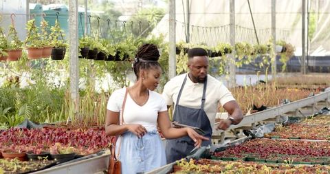 Greenhouse shopping for succulents: daily life in horticulture