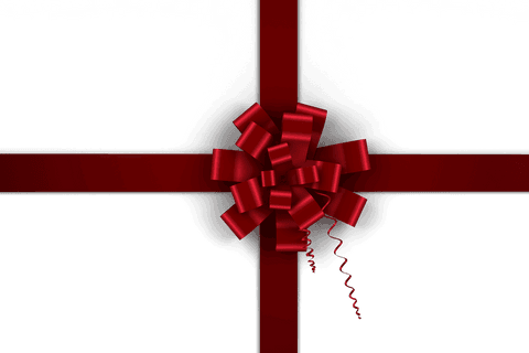 transparent red bow tied on gift box centered for christmas - Download Free Stock Videos Pikwizard.com