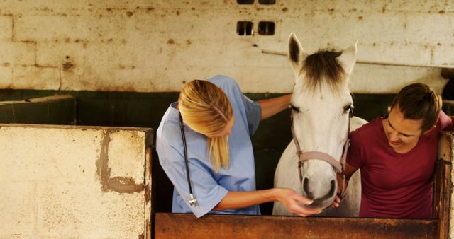 Female veterinarian in blue uniform examining white horse with owner in stable. Veterinarian checking horse's health, while the owner observes closely. Useful for campaigns related to veterinary services, animal health, and rural life or agricultural settings.