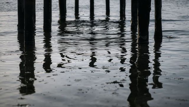 Weathered wooden pilings casting rippled reflections in shallow estuary water at low tide