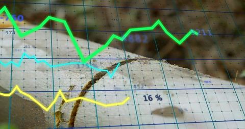 Conceptual eco-analysis with tree rings and data charts