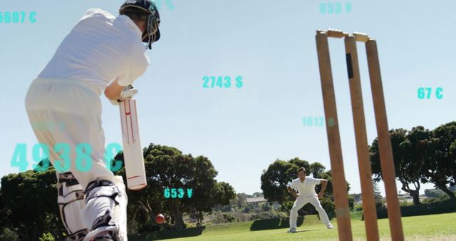 Cricket Match with Digital Data Overlay Enhancing Gameplay - Download Free Stock Images Pikwizard.com