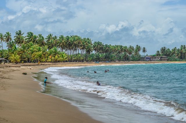 This tranquil beach scene captures the essence of a tropical paradise with palm trees lining a sandy shore and gentle ocean waves. People are enjoying the water, suggesting relaxation and leisure. Ideal for travel brochures, vacation advertising, or websites promoting beach resorts and tropical destinations.