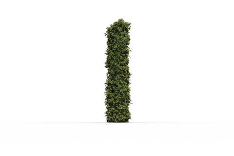 Transparent I Letter Shaped Hedge Isolated Icon on Background - Download Free Stock Videos Pikwizard.com