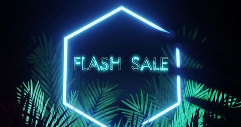 Flash Sale with Neon Hexagon and Palm Leaves Background