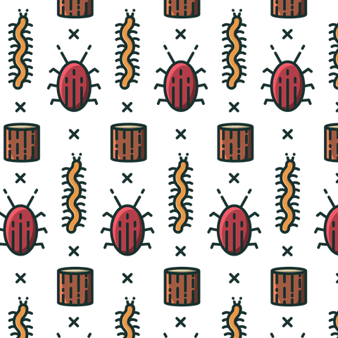 colorful insect pattern on transparent background vector - Download Free Stock Videos Pikwizard.com