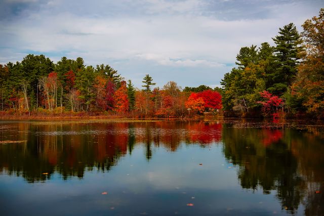 Serene lake surrounded by trees displaying vibrant fall foliage in shades of red, orange, yellow, and green, perfectly reflecting on water surface. Ideal for use in nature calendars, travel brochures, seasonal marketing materials, and environmental and conservation campaigns.