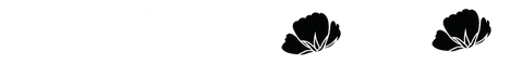 Transparent Botanical and Leaf Pattern with Poppy Design - Download Free Stock Videos Pikwizard.com