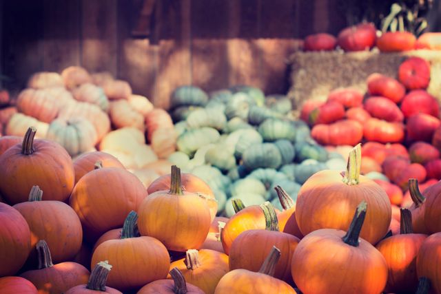 Abundance of pumpkins and gourds in vibrant colors displayed at an outdoor market. Perfect for themes related to harvest season, fall festivals, Halloween, Thanksgiving decorations, fresh autumn produce, and agricultural displays. Potential use for festive marketing materials, posters, or seasonal greetings.
