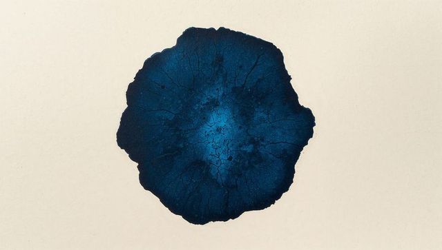 Indigo ink bloom showing radial veins and cracked texture on cream paper