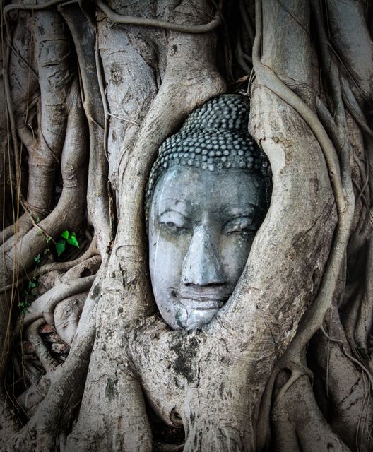 This stunning image depicts the serene face of a Buddha statue entwined by tree roots at Wat Mahathat in Ayutthaya, Thailand. This unique cultural and historical symbol is perfect for use in travel blogs, educational materials about ancient history and Buddhism, or as an inspiring and meditative image for wellness and spirituality contexts.