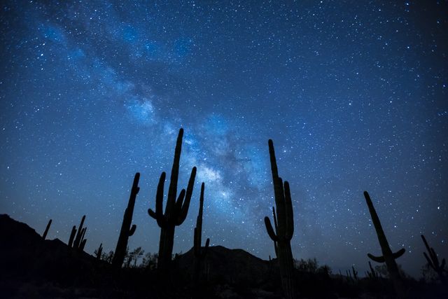 Nighttime desert scene featuring Milky Way and starry sky above silhouetted cactus plants. Ideal for use in travel brochures, astronomy articles, and outdoor adventure marketing materials. Highlights the beauty and tranquility of the desert night.