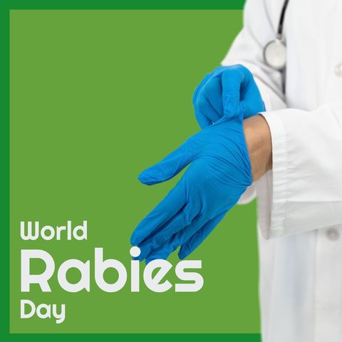 veterinarian preparing for world rabies day with protective gloves - Download Free Stock Templates Pikwizard.com