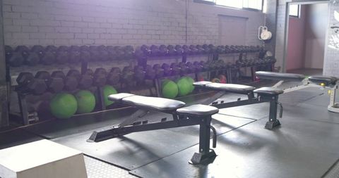 Sunlit adjustable benches waiting for strength training with dumbbells and medicine balls