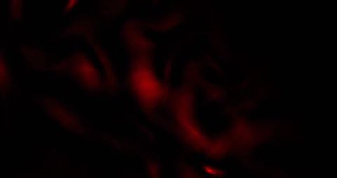 Abstract Glowing Red Trails on Black Background - Download Free Stock Images Pikwizard.com