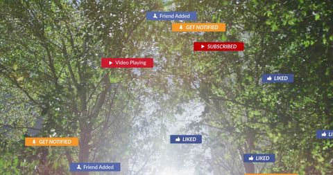 Digital Social Media Notifications in Natural Park Setting