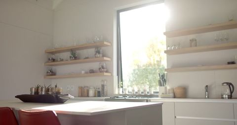 Sunlit modern kitchen with shelves and plants for inviting atmosphere