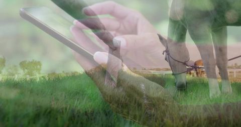 Double exposure hands using smartphone over grassy pasture with grazing bridled horse