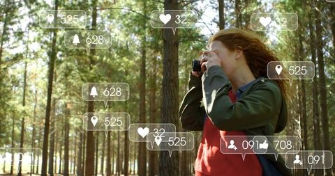 Exploring Pine Forest Through Photography with Digital Interaction