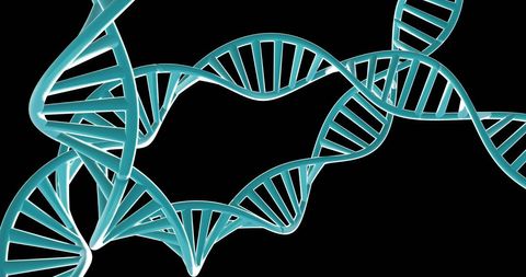 twisting dna strands on black background with copy space - Download Free Stock Images Pikwizard.com