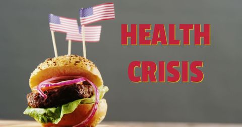 Health Crisis Concept with American Burger and Flags - Download Free Stock Images Pikwizard.com