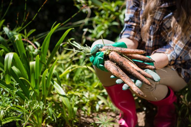 Woman holding freshly harvested carrots in a garden on a sunny day. She is wearing gardening gloves, a plaid shirt, and pink boots. This image can be used for topics related to organic farming, home gardening, healthy eating, sustainable agriculture, and outdoor activities.