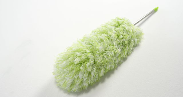 Green Feather Duster Isolated on White Background - Download Free Stock Images Pikwizard.com