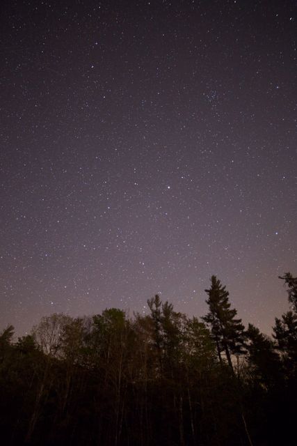 Beautiful Starry Night Sky Over Forest - Download Free Stock Photos Pikwizard.com