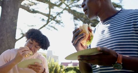 Diverse Male Friends Enjoying Sandwiches Outdoors in Sunny Park