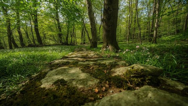 Mossy stepping stone path leading through lush green forest with pale pink wildflowers