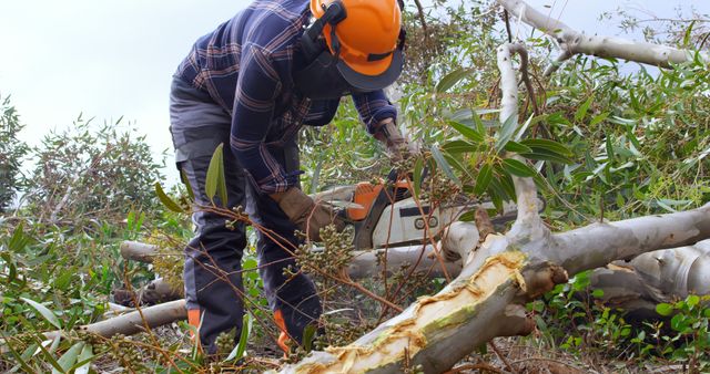 A middle-aged man in protective gear is using a chainsaw to cut a fallen tree, with copy space. His work highlights the importance of safety and skill in forestry management and tree removal services.