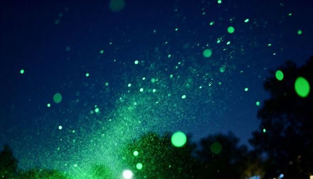 Emerald orb swarm streaming diagonally across night sky over silhouetted trees